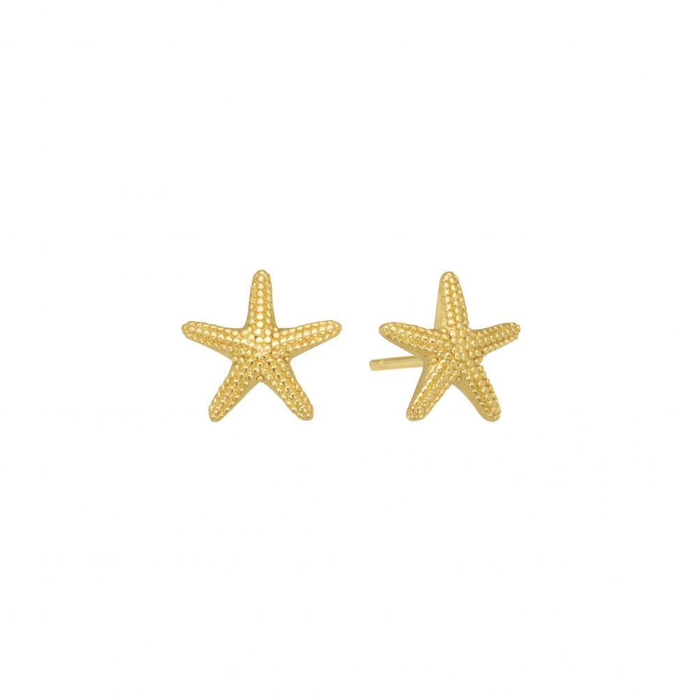 Chimiama Orecchini Argento Gold Stella Marina