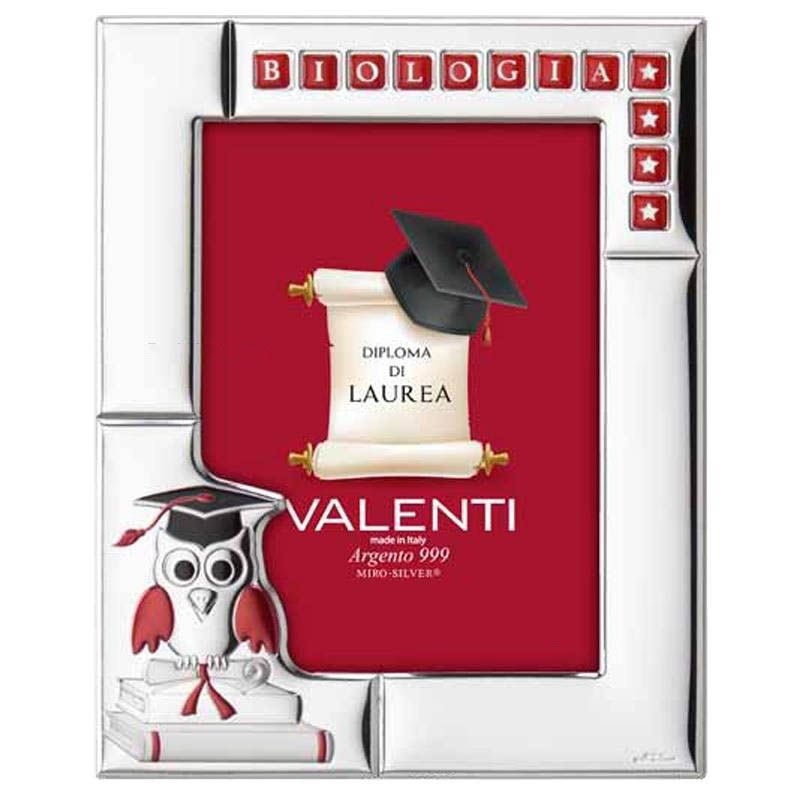 Valenti Cornice Laura Laminato Argento e Legno 13X18