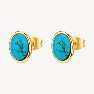Brosway Orecchini Acciaio Gold con Turchese